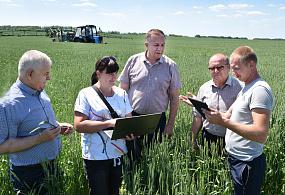 Работать не на публику, а&hellip;